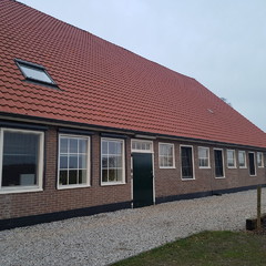Korenbloem 5/6